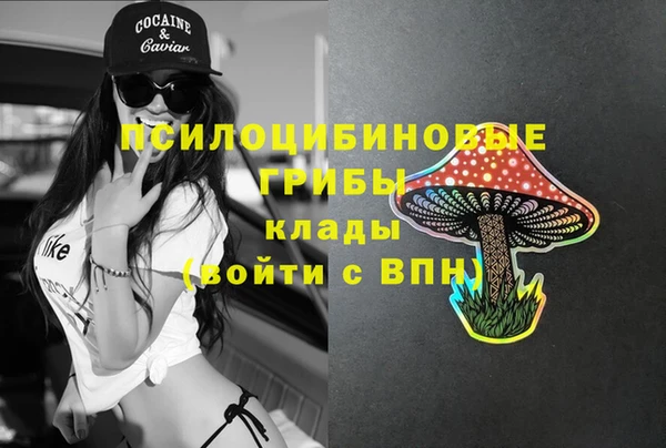 дурь Аркадак
